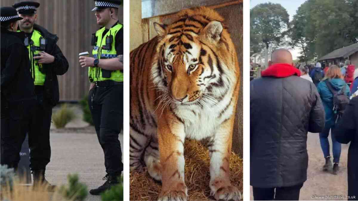 Man killed in Yorkshire Wildlife Park tiger attack 'was using sign language'
