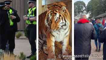 Man killed in Yorkshire Wildlife Park tiger attack 'was using sign language'
