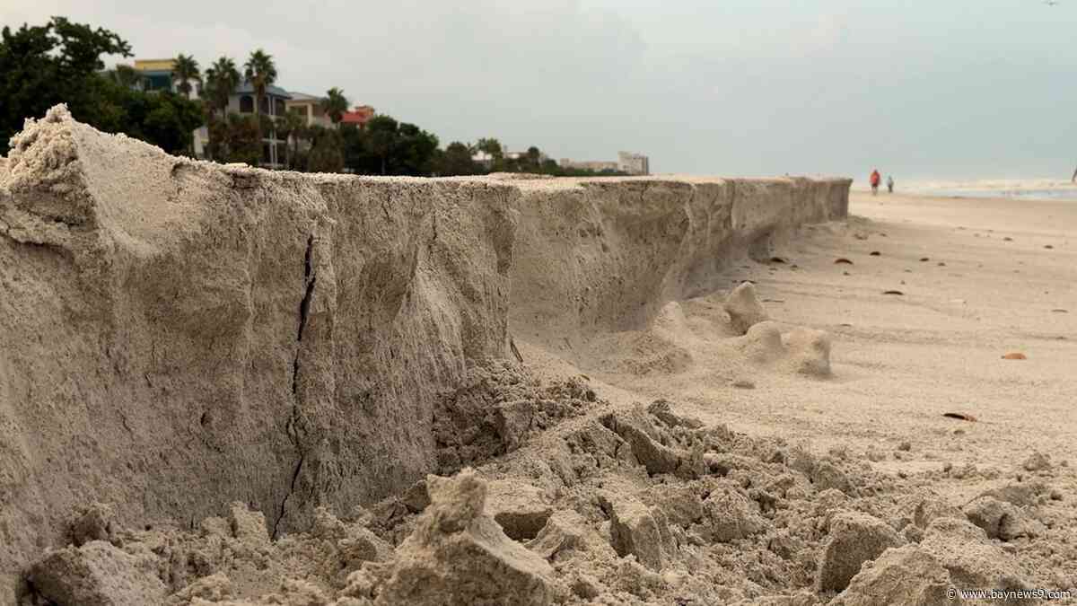 Pinellas beach nourishment helps buffer coast during Hurricane Isaias