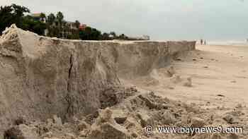 Pinellas beach nourishment helps buffer coast during Hurricane Isaias