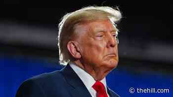 Trump claims energy ceasefire reached between Russia and Ukraine
