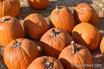 QUIZ: A season of Thanksgiving