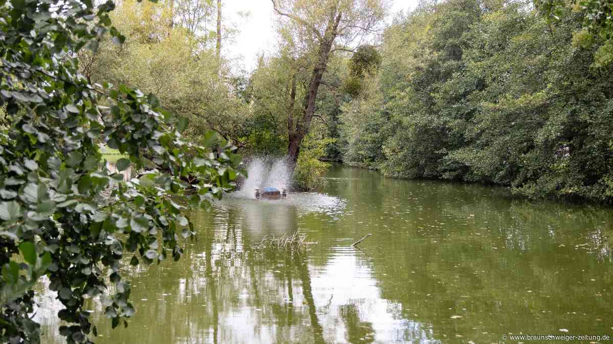 Bürgerinitiative schlägt Alarm: Salzgitters Schlossteich droht das Aus