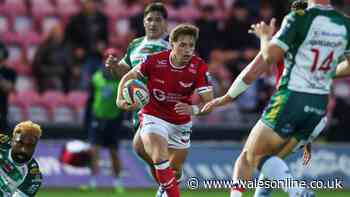 Uncapped Welshman draws comparison with legend and Hogg looks for new club
