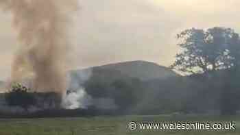 Huge fire rips through Welsh factory leaving owners devastated