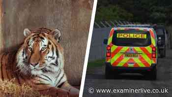Tributes paid to man mauled to death by tiger at Yorkshire Wildlife Park