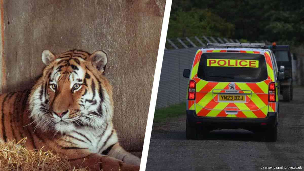Tributes paid to man mauled to death by tiger at Yorkshire Wildlife Park