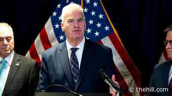 Emmer says he's 'so happy' Trump will decide whether to stream public execution