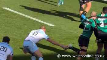 Henry Pollock praised for reaction as TV cameras catch Fin Russell in the act