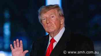 Ukraine backs ceasefire after Trump declares surprise deal is done