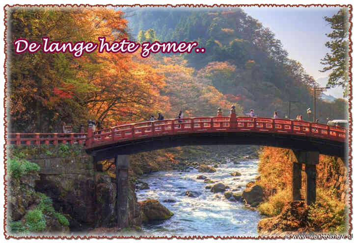 De lange, hete zomer…