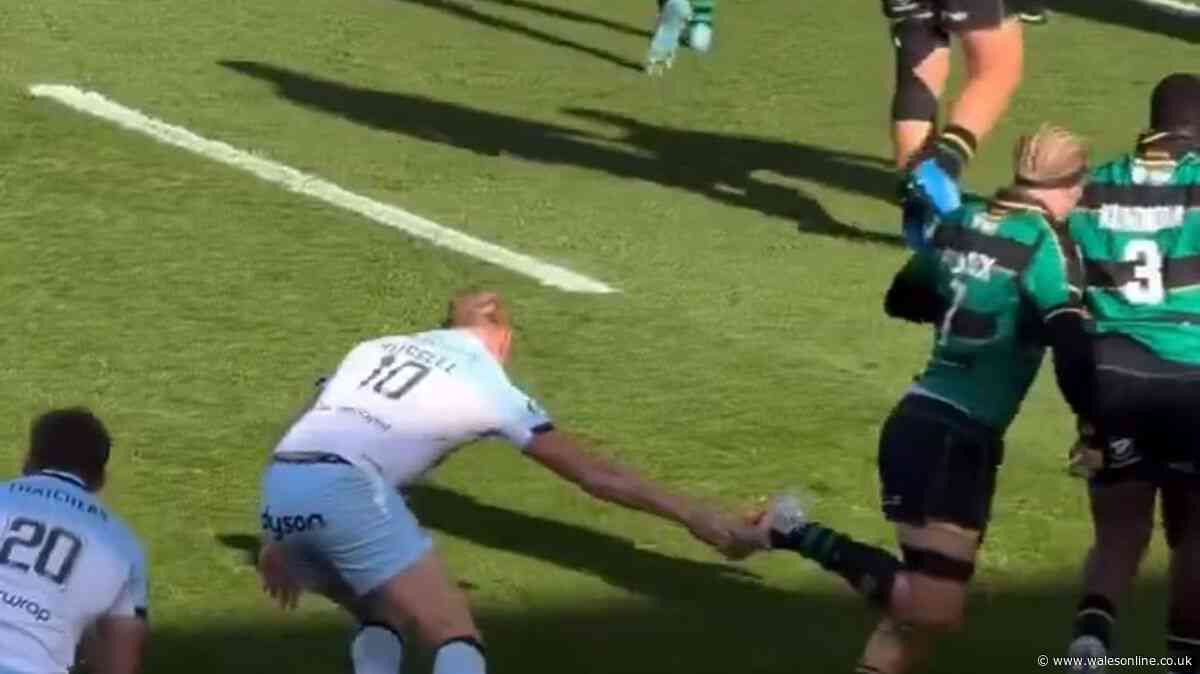 Henry Pollock praised for reaction as TV cameras catch Finn Russell in the act