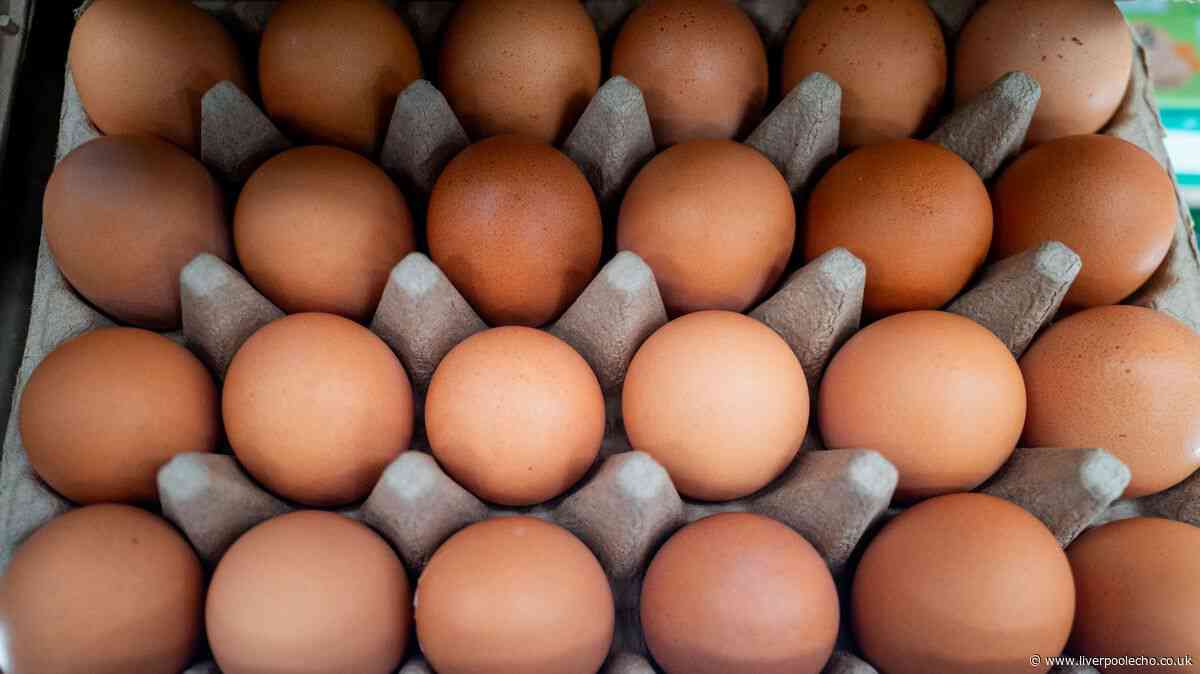 People urged 'do not eat' as urgent salmonella warning issued
