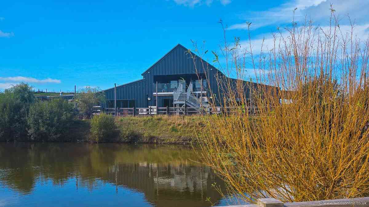 You can get Sunday lunch at amazing dog-friendly restaurant with a play barn, lake walks, trampolines and farm shop