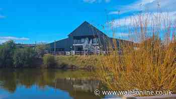 You can get Sunday lunch at amazing dog-friendly restaurant with a play barn, lake walks, trampolines and farm shop