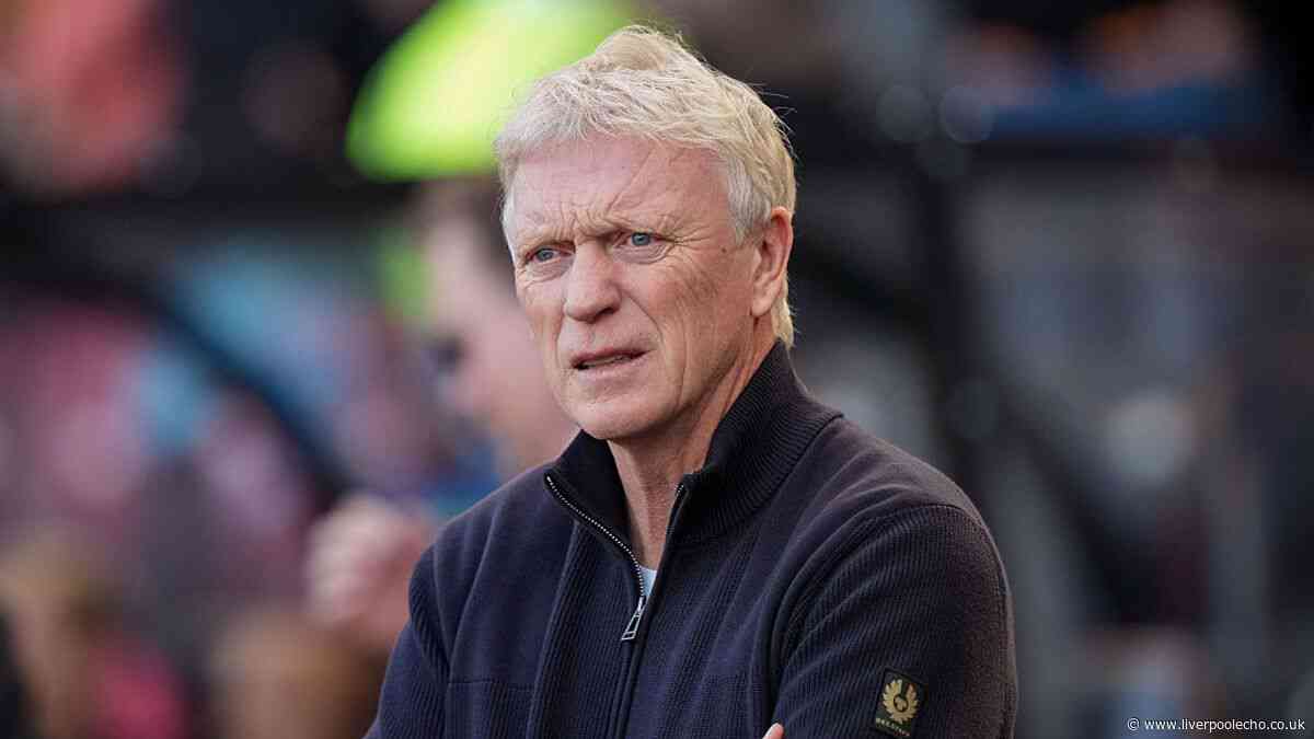 'I don't think any of you do either' - David Moyes admits confusion after Everton goal ruled out