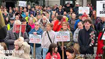 Hundreds protest over data centre plans