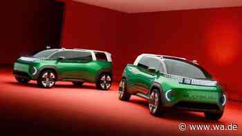 Dolce Vita für Kind und Kegel – Fiat Multiplay