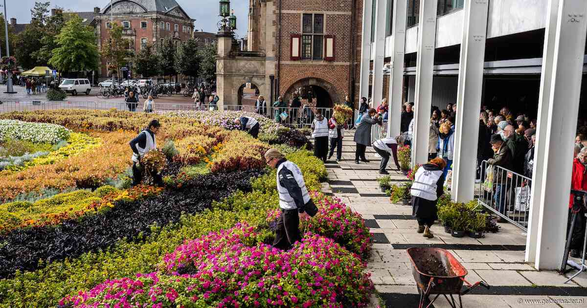 Arnhems stadhuis oogt zondag als een outdoor tuincentrum, wethouder gaat uitzicht missen