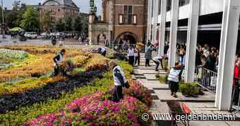 Arnhems stadhuis oogt zondag als een outdoor tuincentrum, wethouder gaat uitzicht missen
