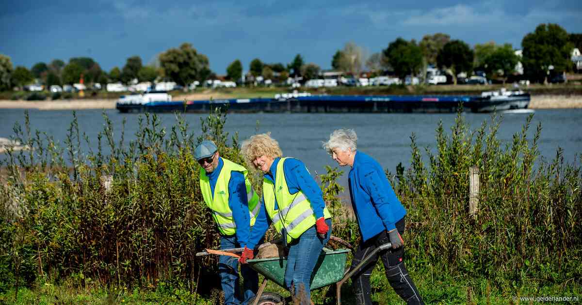 Langs de Waal opruimen met de ‘Weurtse Mieren’: ‘Je kunt mopperen of ervoor zorgen dat je omgeving schoon is’