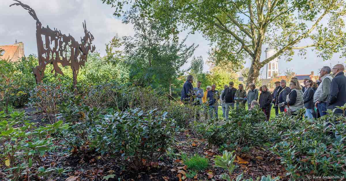 Buurtbewoners realiseren eigen weeskunstroute in Vrouwenhofpark: ‘Het park moet meer leven krijgen’