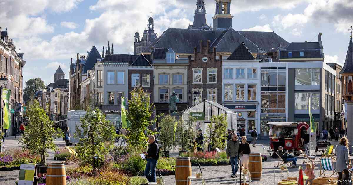 Kleurige planten op de Markt inspireren Bosschenaren: ‘Van mij mogen al deze plantjes blijven’