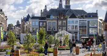 Kleurige planten op de Markt inspireren Bosschenaren: ‘Van mij mogen al deze plantjes blijven’