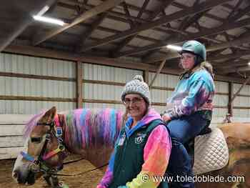 Fall horse and cider festival offers afternoon of activities
