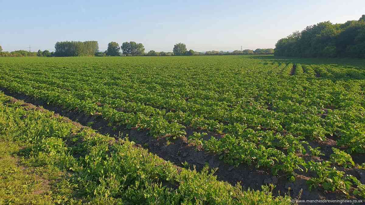 Carrington Relief Road: Hundreds of objections, £132 million, and just 15-years until it hits capacity