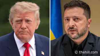 Zelensky 'awaiting details' from US on Russia-Ukraine energy ceasefire claimed by Trump