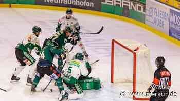 Gladiators besiegen den Tabellenführer