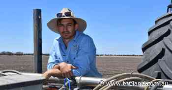'We can't afford to plant a bad one': inputs put pressure on cotton plans