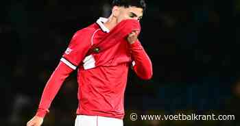 Rood voor Benitez verdeelt de coaches na Westerlo-Antwerp