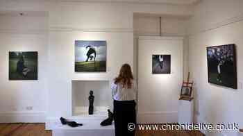 Local artist opens a new exhibition featuring views across North East landscapes