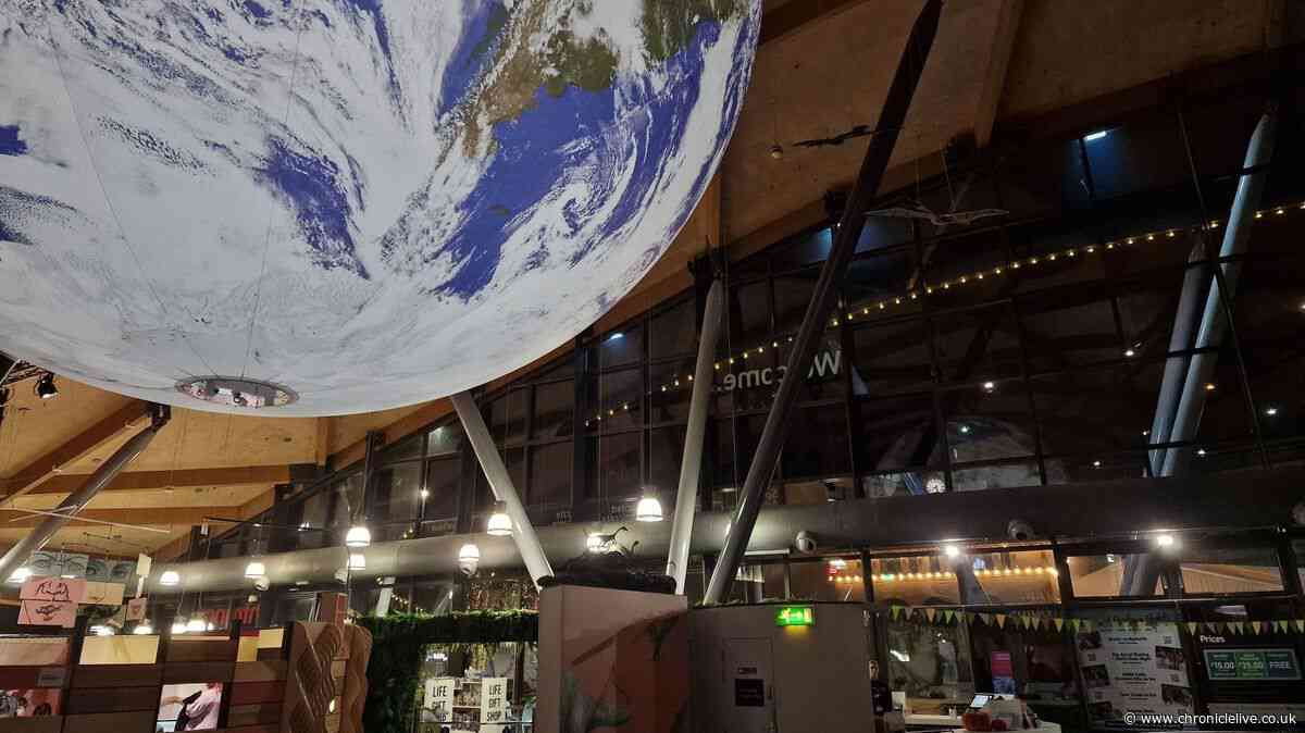 I went to the Centre for Life's late-night event, I can't believe I didn't go sooner