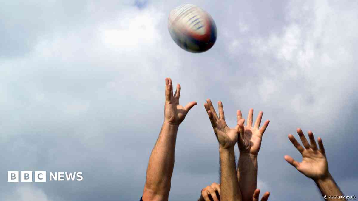 Ministers have role to play in WRU regions shake-up, Reform MS says