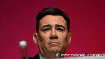 Andy Burnham says there's a 'clear answer' on Russian interference in Brexit vote