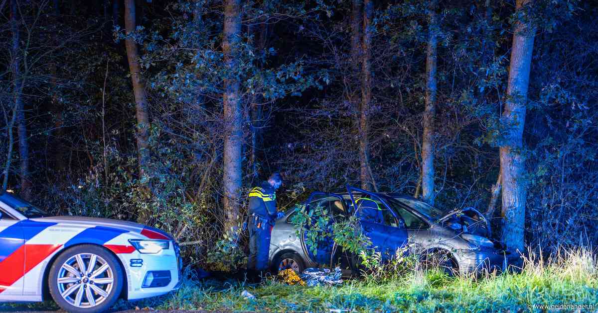 Auto crasht na achtervolging door politie op A58 bij Sint Willebrord; twee gewonden