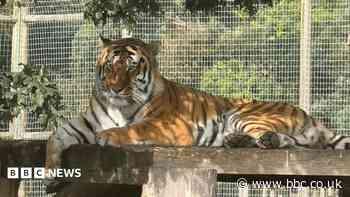 Wildlife park remains closed after tiger attack