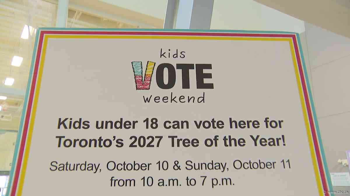 City of Toronto hosts 'Kids Vote' campaign during advance voting weekend