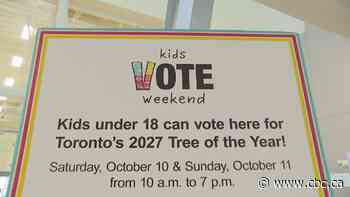 City of Toronto hosts 'Kids Vote' campaign during advance voting weekend