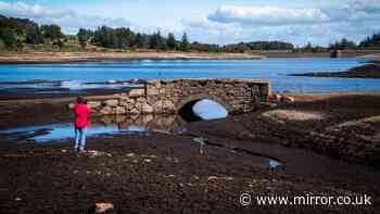 Prehistoric village unearthed at Devon reservoir after water levels drop to lowest in decades