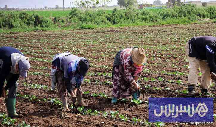 ملفات عالقة تنتظر وزير الفلاحة الجديد