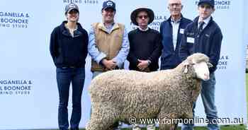 Famous Merino sheep studs sold in a $300 million deal