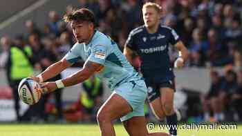 The three reasons why Harlequins fans can be positive despite worst start in 17 years, writes ALEX BYWATER