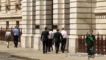 Whitehall 'is spending £5million of taxpayers' money on visas for foreign workers'
