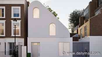 Notting Hill £1.2million homeowner who won two-year £10,000 planning battle with council over a fence wants to replace it with £500,000 ultra-modern extension