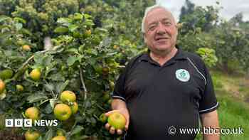 The Armagh apples connecting a rural community