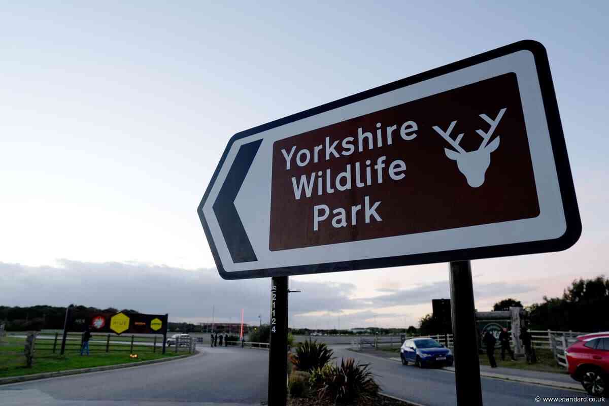 Yorkshire Wildlife Park expected to open after fatal tiger attack